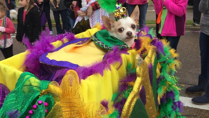 Liste ultime des activités à ne pas manquer pendant le Mardi Gras du Sud‑Ouest de la Louisiane