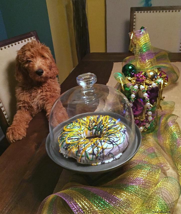 Mardi Gras – La Douzième Nuit