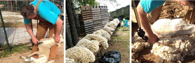 Chasses aux œufs de Pâques à Lake Charles