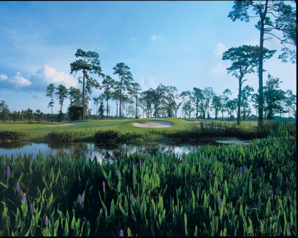 Perfectionnez votre swing sur les parcours de golf du sud‑ouest de la Louisiane