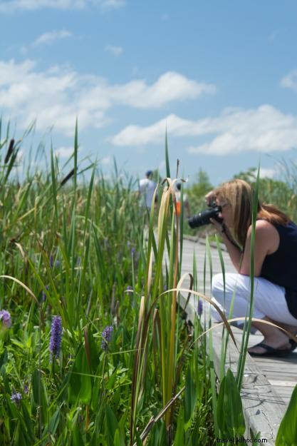 Excursions d une journée autour de Lake Charles : découvrez votre propre arrière‑cour