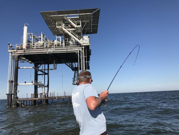 Excursions d une journée autour de Lake Charles : découvrez votre propre arrière‑cour