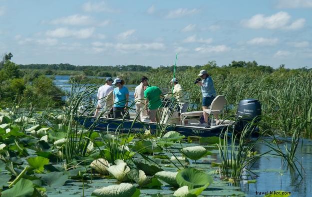 Excursions d une journée autour de Lake Charles : découvrez votre propre arrière‑cour