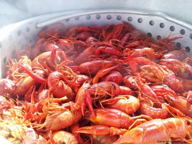 12 raisons de gratitude chez les Louisianais