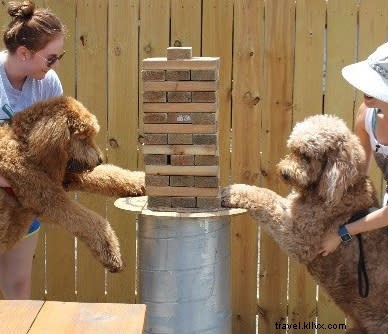 Pup Foodie découvre Lake Charles – Partie 2