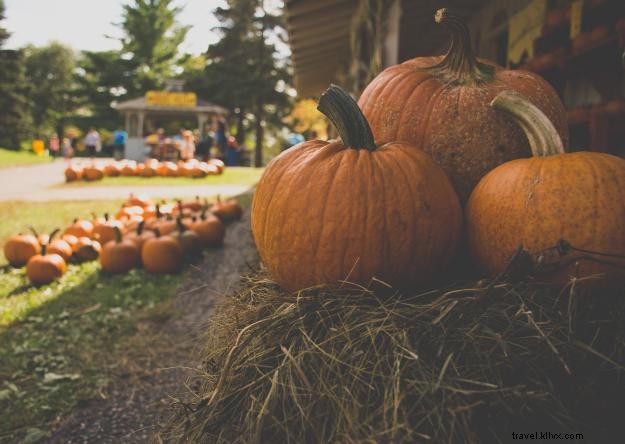 Événements d Halloween pour enfants dans le Sud-Ouest de la Louisiane