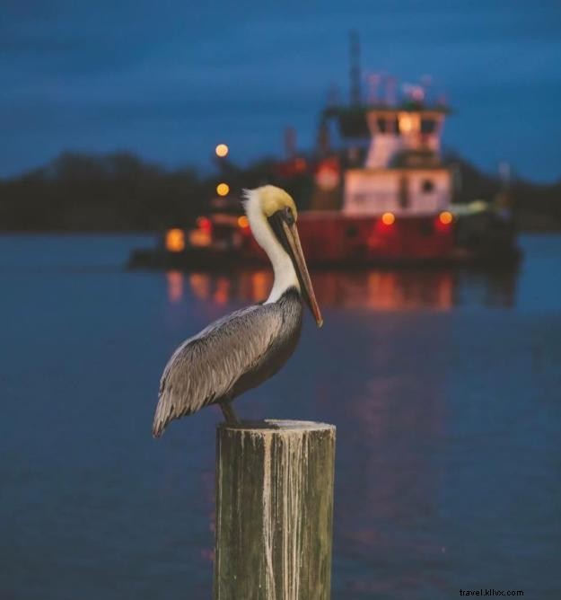 Amour de la Louisiane : Photo du mois #VisitLakeCharles