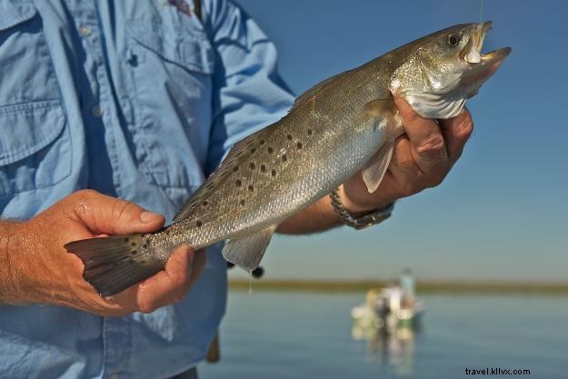 Mantripping : activités incontournables pour les hommes autour de Lake Charles