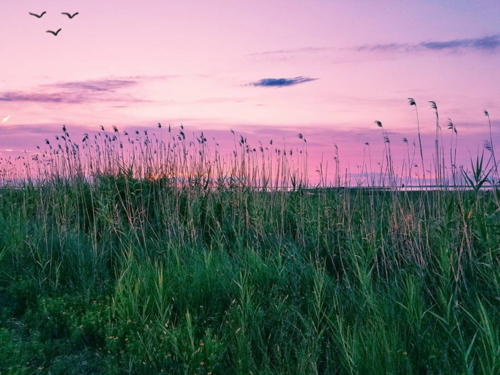 Autres perspectives : #VisitLakeCharles Photo du mois