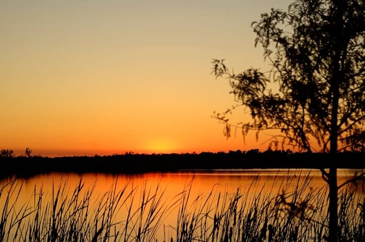 Vaut le voyage : expériences culinaires estivales à Lake Charles