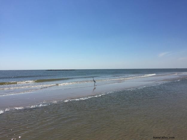 Une journée à la plage sur le Sentier Nature Créole