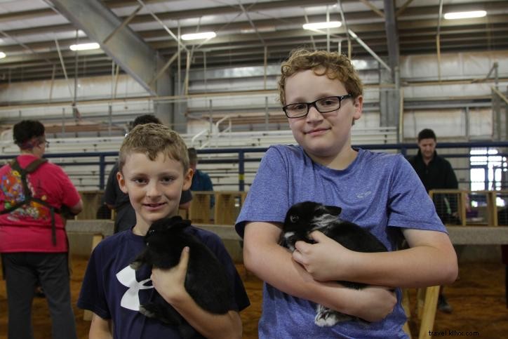 3 raisons de ne pas manquer le Festival du lapin de l Iowa