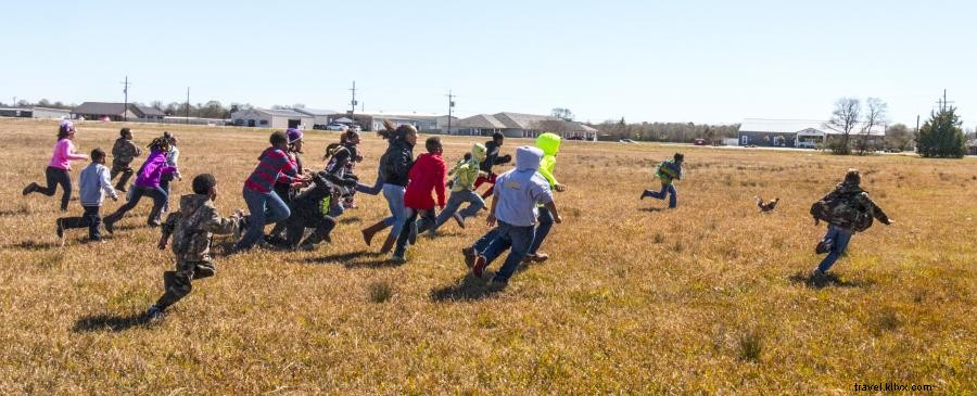 Courir du Mardi Gras : le Défi du Poulet d Iowa