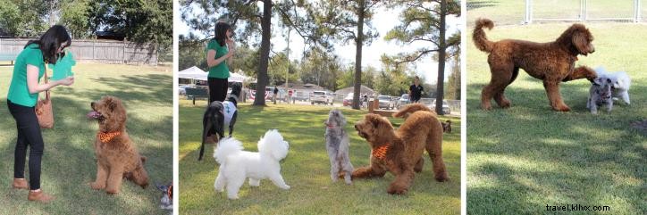 Fideaux Field – Le nouveau parc canin de Sulphur