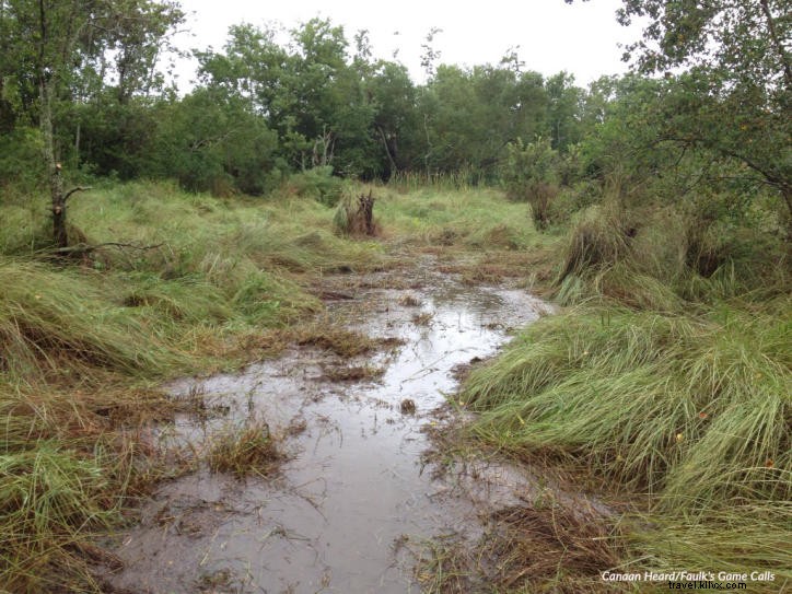 Calcasieu lugubre : le Rougarou va vous attraper !