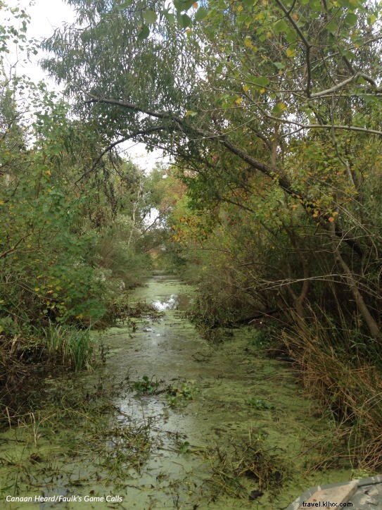 Calcasieu lugubre : le Rougarou va vous attraper !