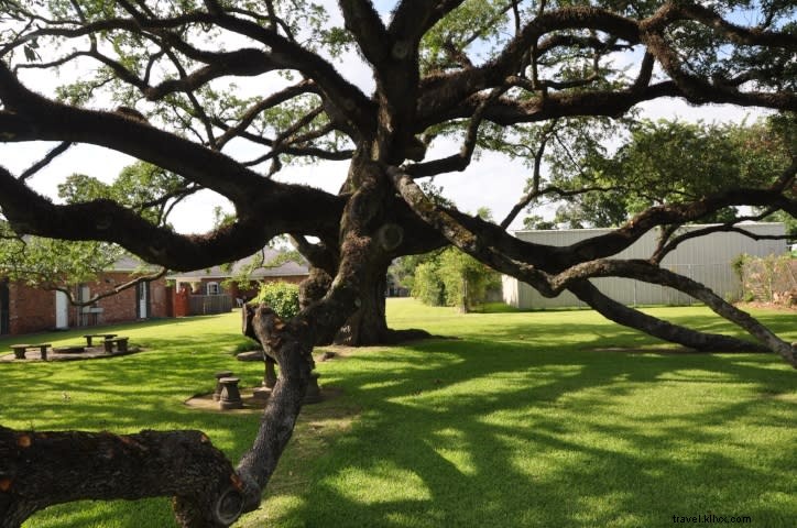 Vous savez que vous êtes de Lake Charles si…