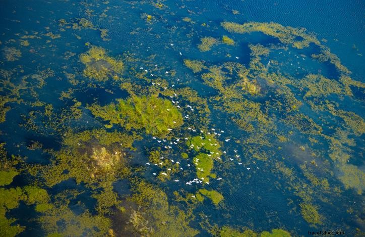 Lake Charles vu du ciel : histoire de photos aériennes