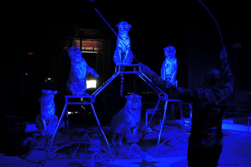 Le cirque Habibi arrive à Lake Charles
