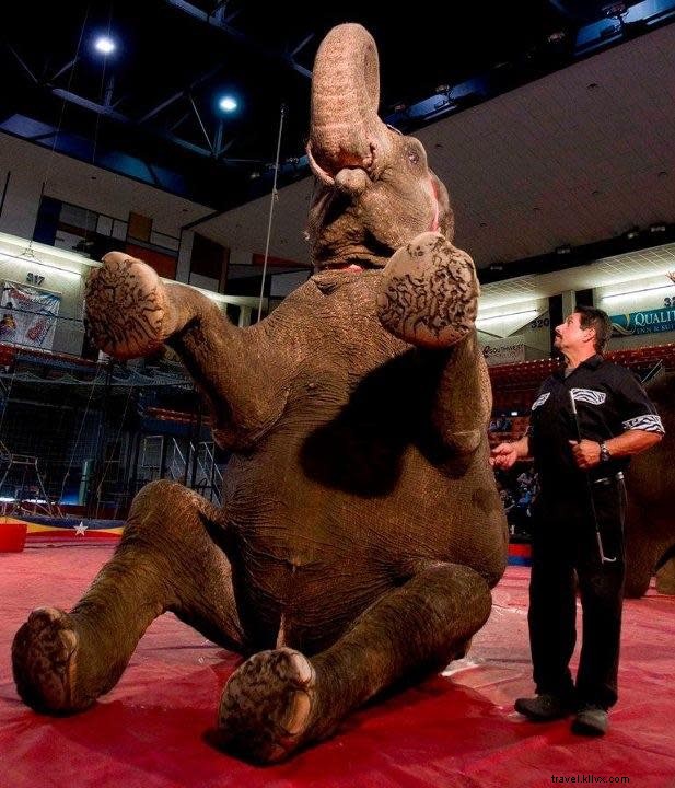 Le cirque Habibi arrive à Lake Charles