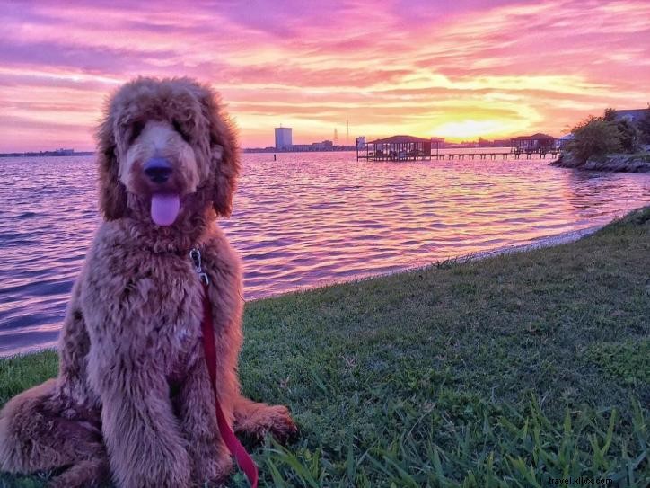 Les 16 meilleurs parcs de Lake Charles
