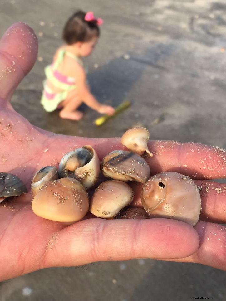 Journée à la plage : guide de survie pour les enfants