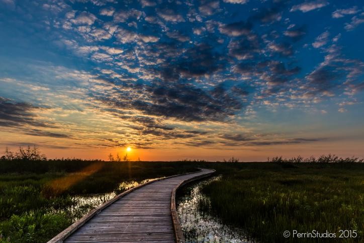 Visites incontournables dans le sud‑ouest de la Louisiane