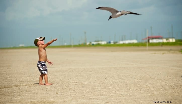 Amusement au soleil – 3 plages du sud‑ouest de la Louisiane à découvrir