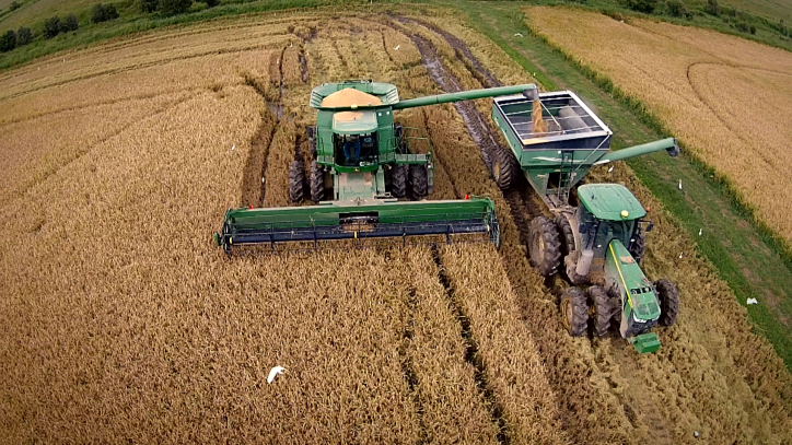 Le riz de Louisiane : du champ à l’assiette