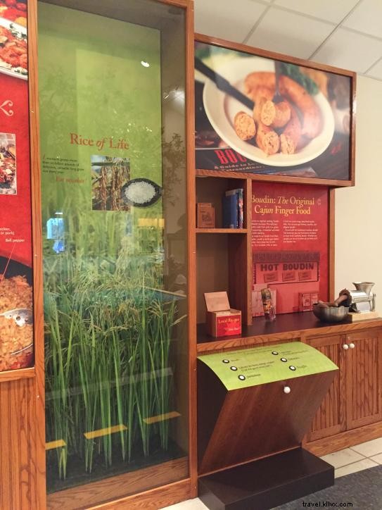 Le riz de Louisiane : du champ à l’assiette