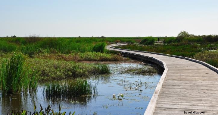 6 activités incontournables pour un dimanche à Lake Charles, Sud‑Ouest de la Louisiane