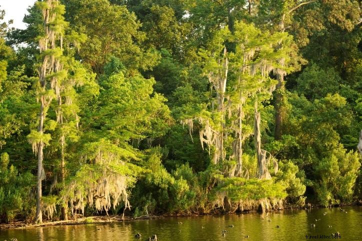 6 activités incontournables pour un dimanche à Lake Charles, Sud‑Ouest de la Louisiane