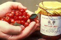Doux comme du sucre : le festival Starks Mayhaw, du 14 au 16 mai