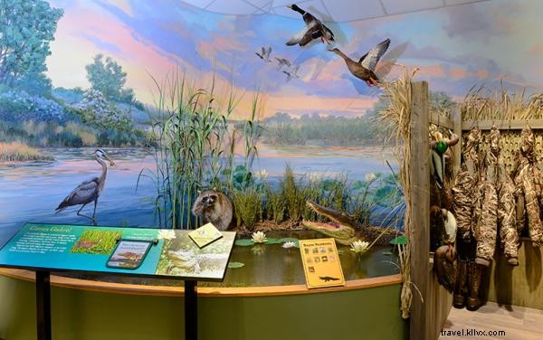Point d aventure du Creole Nature Trail : des sourires hors du commun