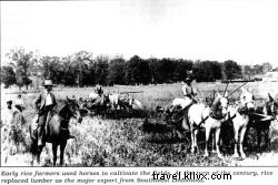 Comment les pilotes de chasse, le meurtre et la migration du Midwest ont façonné l’histoire du sud‑ouest de la Louisiane