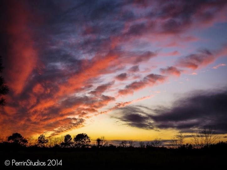 Redécouvrir la maison : un périple photographique au Sud-Ouest de la Louisiane