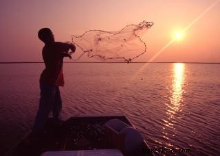 Ragoût de crevettes à la louisianaise