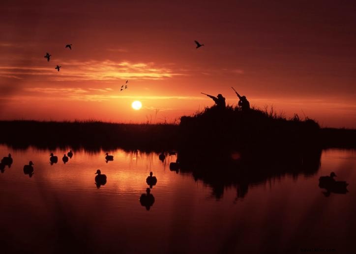 Chasse aux canards dans le sud‑ouest de la Louisiane