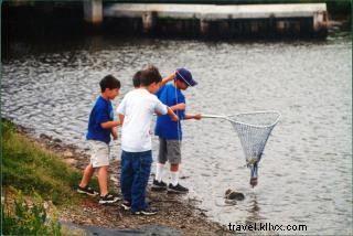 Le crabe d été : souvenirs d enfance sur la Creole Nature Trail
