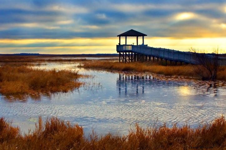 15 choses à savoir sur Lake Charles