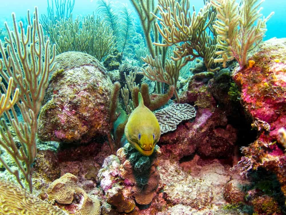 20 des plus beaux endroits à visiter au Belize