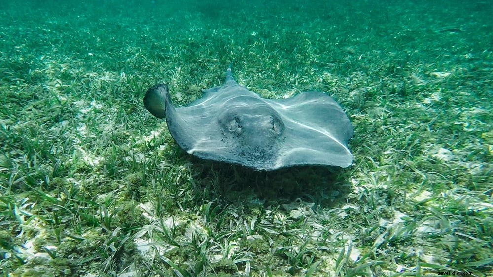 20 des plus beaux endroits à visiter au Belize
