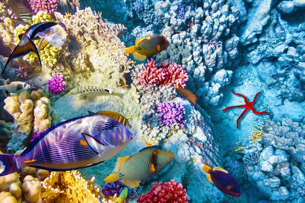 20 des plus beaux endroits à visiter au Belize