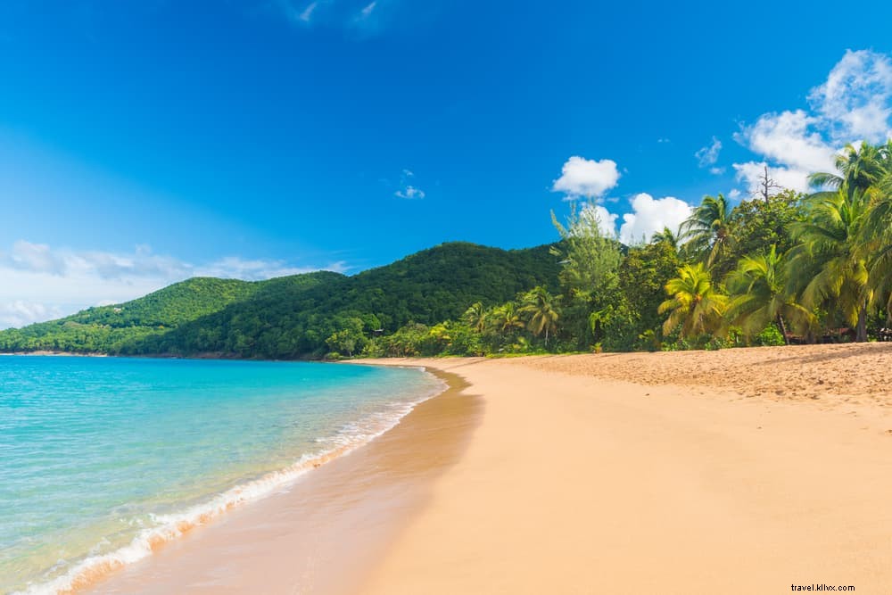 Les 17 plus beaux sites à découvrir en Guadeloupe