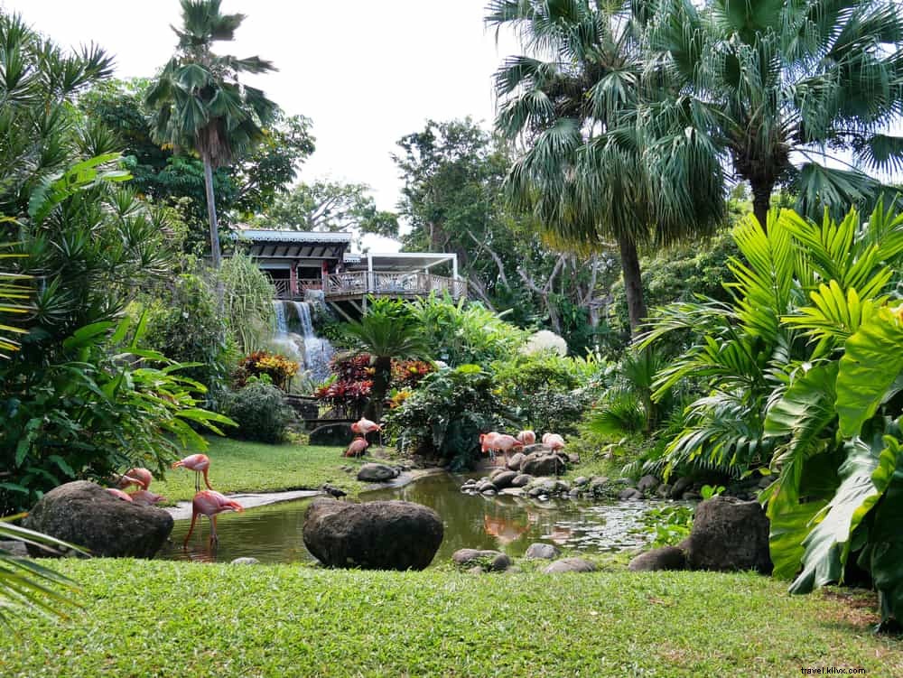 Les 17 plus beaux sites à découvrir en Guadeloupe