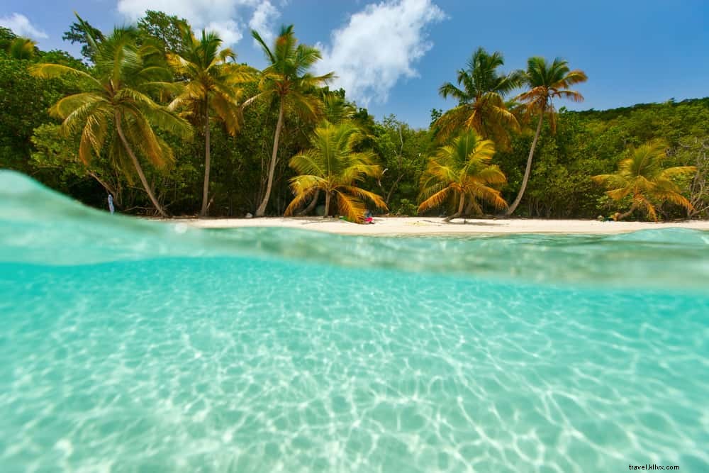 Les 15 plus beaux lieux à découvrir aux Îles Vierges américaines