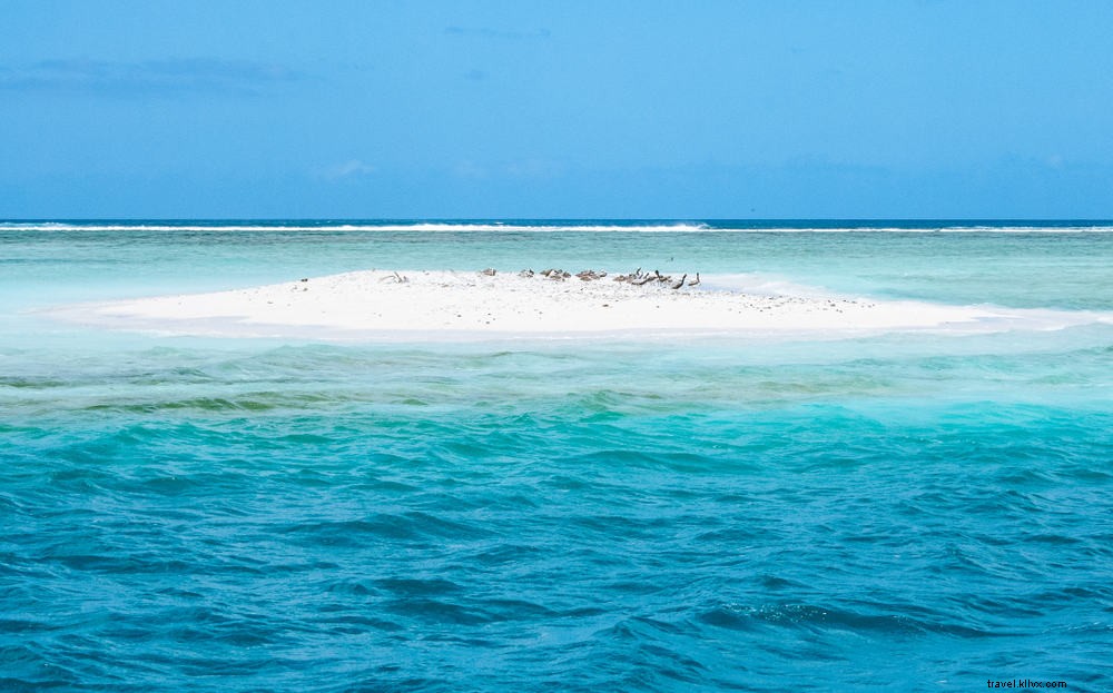 15 sites magnifiques à découvrir à Trinité-et-Tobago