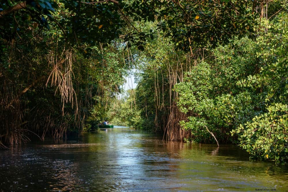 15 sites magnifiques à découvrir à Trinité-et-Tobago