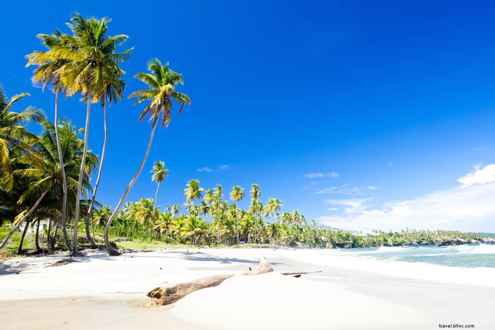 15 sites magnifiques à découvrir à Trinité-et-Tobago