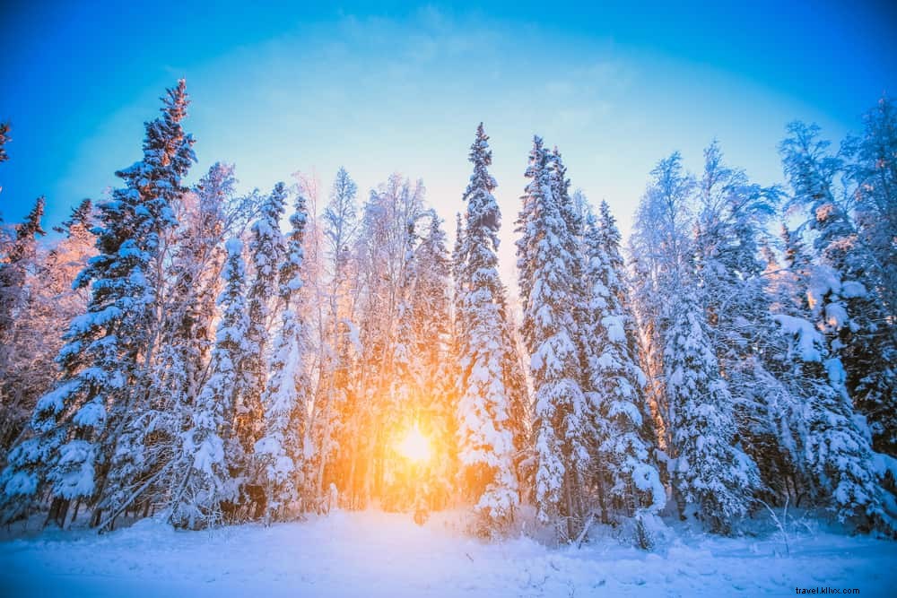 20 des meilleurs endroits à visiter aux États‑Unis en janvier